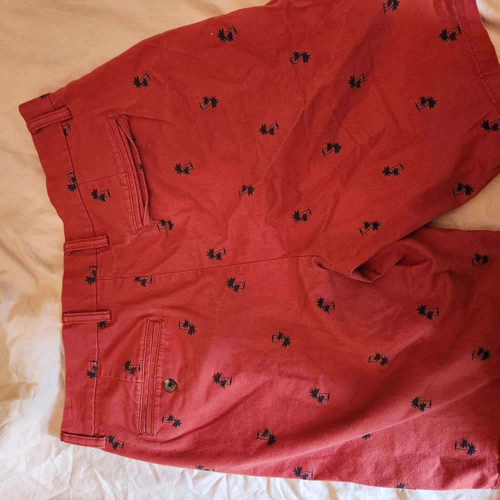 Red Shorts with Palm Tree Print - Picture 6 of 7